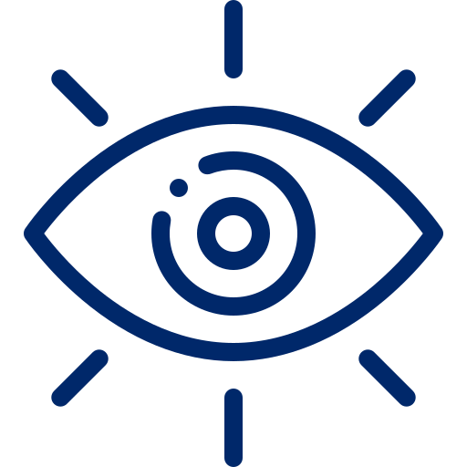 Vision-1